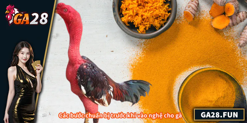 Cách Vào Nghệ Cho Gà Chọi - Kinh Nghiệm Huấn Luyện Hiệu Quả Các bước chuẩn bị trước khi vào nghệ cho gà