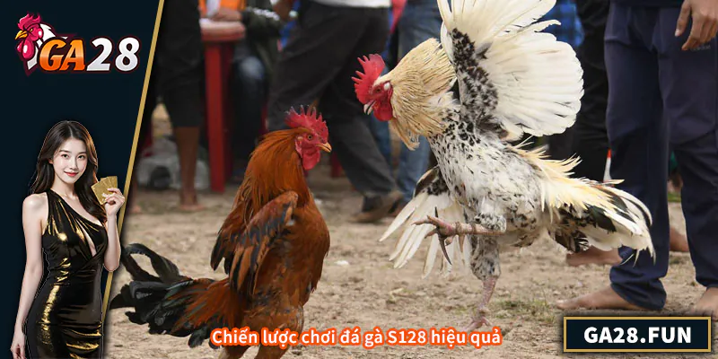 Chiến lược chơi đá gà S128 hiệu quả