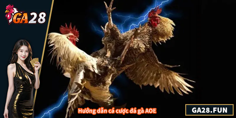 Hướng dẫn cá cược đá gà AOE