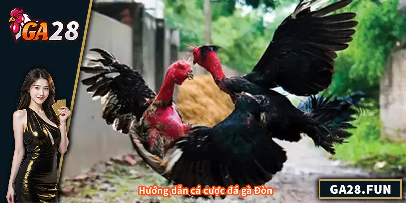 Hướng dẫn cá cược đá gà Đòn