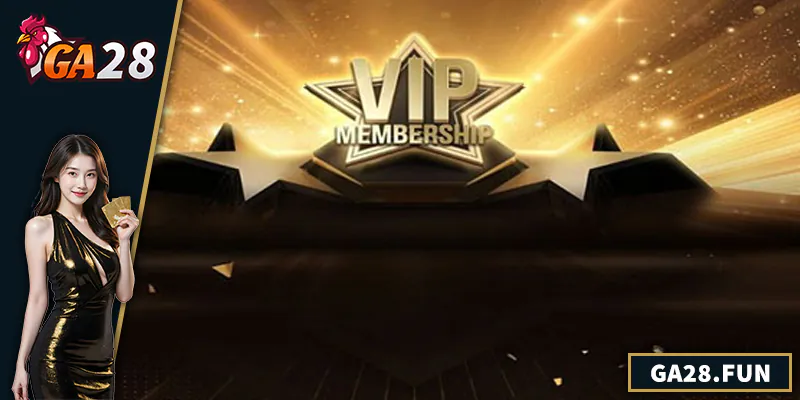 VIP GA28 - Trải Nghiệm Đặc Quyền Cho Thành Viên Cao Cấp Quyền lợi dành riêng cho VIP GA28